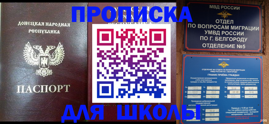 прописка для работы в Павловском Посаде